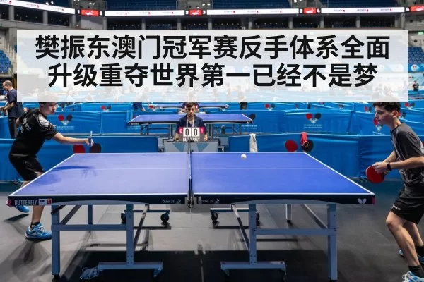table tennis match