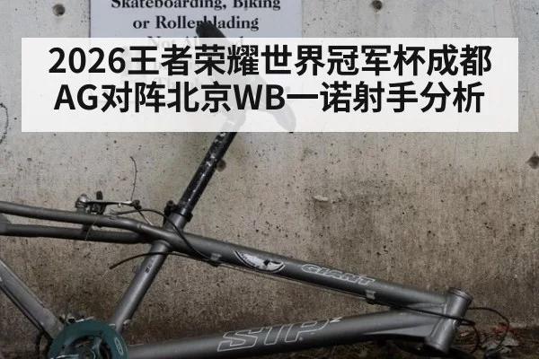 2026王者荣耀世界冠军杯成都AG对阵北京WB一诺射手分析